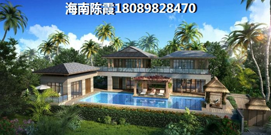金中海藍鉆生紙空間分析