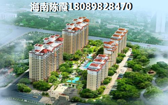 海南和泓清水灣南國(guó)僑城鳥(niǎo)瞰圖