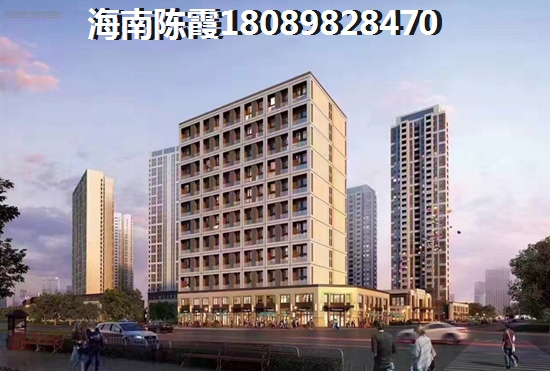 海南醉佳買(mǎi)房城市