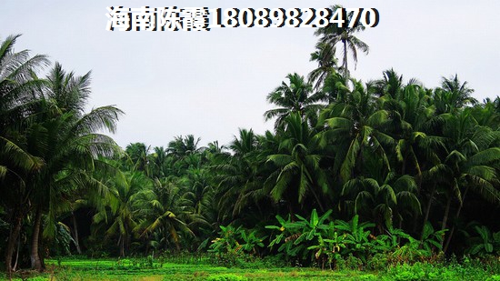 海南龍棲灣波波利海岸