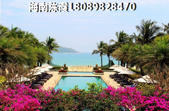 心嶼海