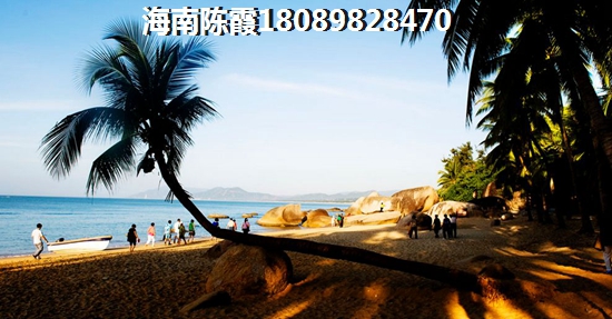 海南綠地榮域