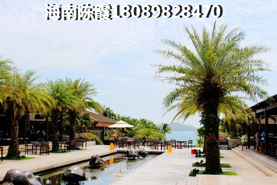 海岸龍庭VS清鳳椰林灣分析對比