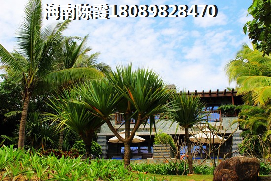 紫竹園?？跒澄挥跒I海大道以北，萬綠園以西，南面是繁華的國貿(mào)商業(yè)區(qū)。地段的稀缺性致使?？跒撤績r高起，目前的缺陷是一些海景項目的建設(shè)影響生態(tài)，城區(qū)污水排放逐年增加，而灣區(qū)處理能力有限，水質(zhì)受影響。但即便如此，這個黃金地段依然紙得考。