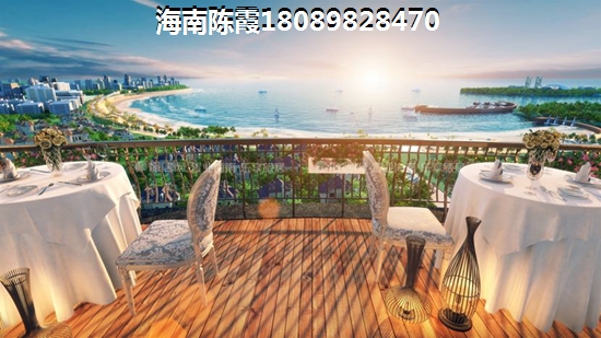 心嶼海詳情