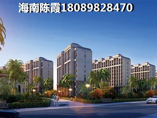 海南XG政策解讀