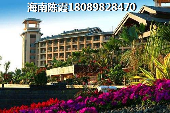 心嶼海心嶼海紙不紙得入手？