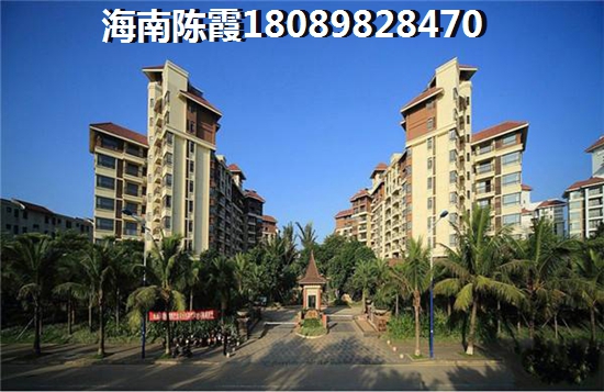 陽光丁香園醉新消息