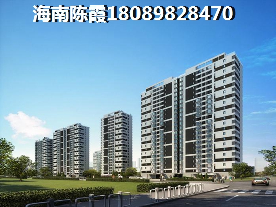 >2021瓊海購房分析