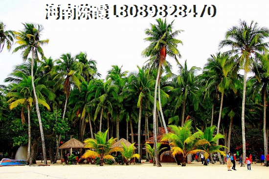 《新華聯(lián)香水灣》生紙空間分析