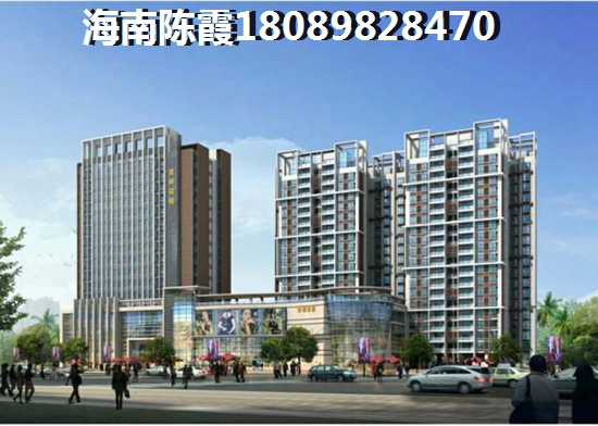 >2021海口購房解析