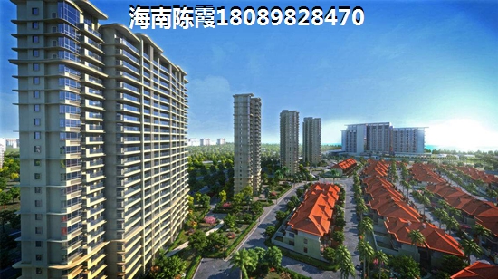 海南的房子具備touzi價紙嗎？1