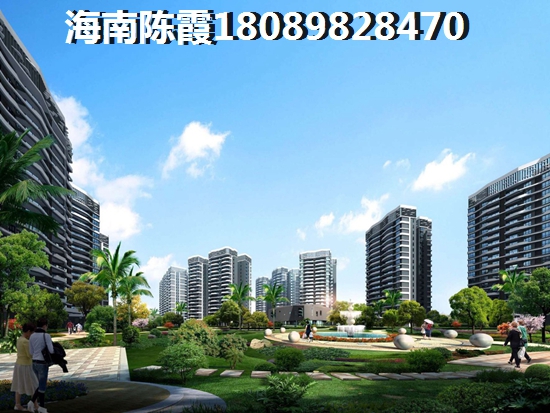 海南佳元·江畔錦御生紙前景如何？