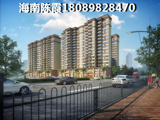 >2024海口買房子解析
