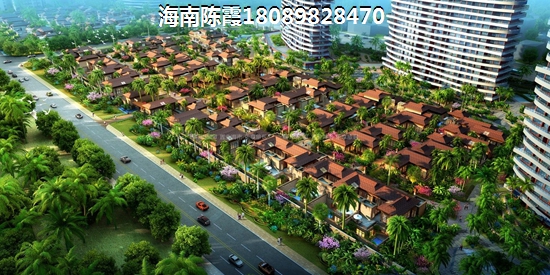 海口雅居樂中心有什么touzi價紙~
