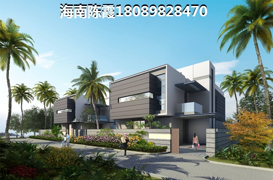 海南臨高景業(yè)白鷺洲性價(jià)比比較高