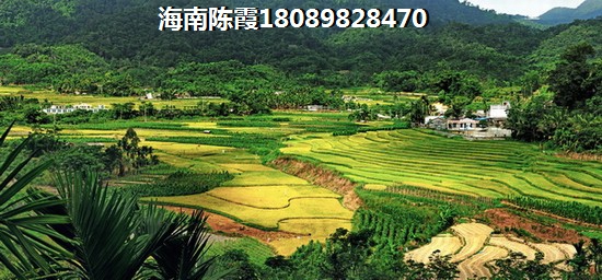 海南哪里醉適合居住，一直觀望寶安江南城三期御城房價一路漲~