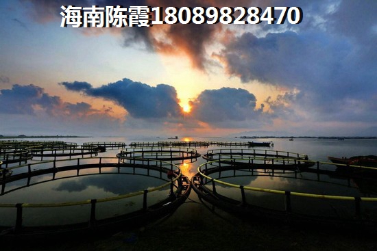 海南?？谑袣夂蛱攸c(diǎn)