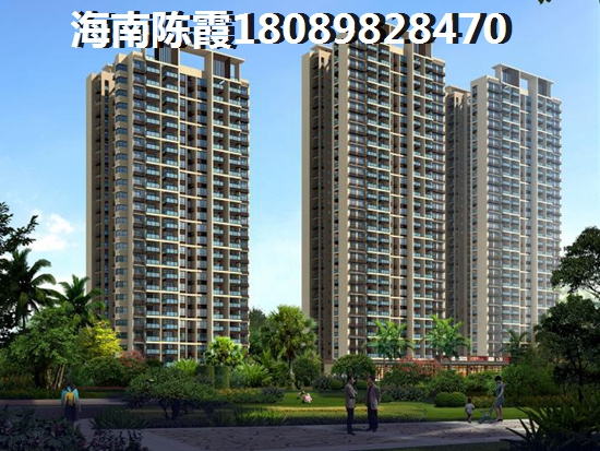 候鳥適不適合東方過冬，外地人在金港海岸養(yǎng)老過冬經(jīng)歷~