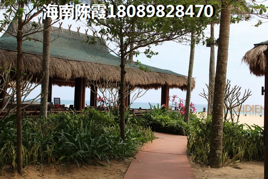 海口市買房適合touzi的地方
